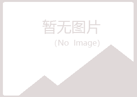 吉林冰夏采矿有限公司